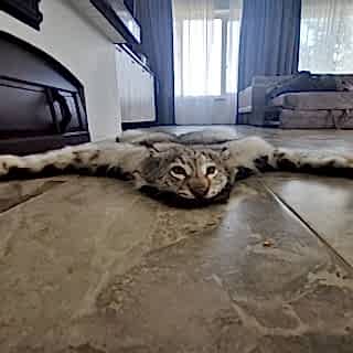 Фотографии