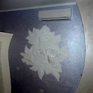 Фотографии
