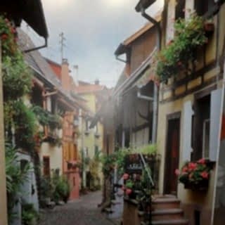 Фотографии