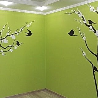 Фотографии
